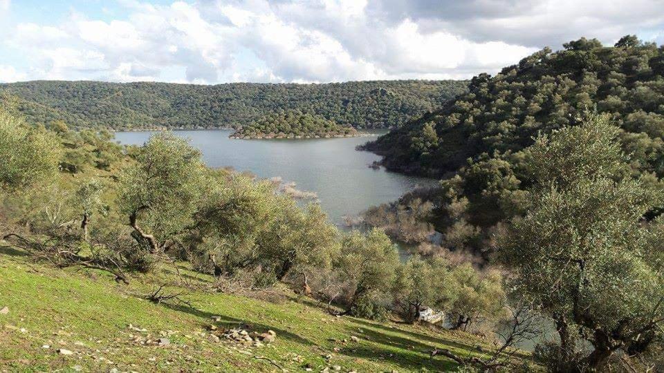 Casas Rurales El Balcon De La Brena Almodóvar del Río Exterior foto